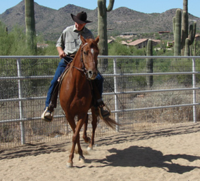 Larry Whitesell in saddle